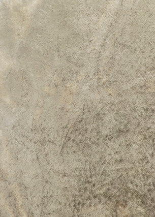 Alvar Parchment by Threads Designer Fabric