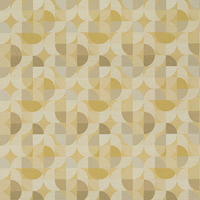 Mix Up Tupelo by Kravet Contract Designer Fabric