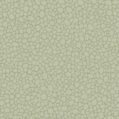 Pebble Sage by Cole & Son Designer Wallcovering