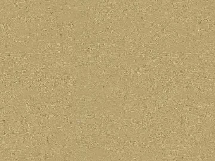 Kravet Design Garoua-16 by Kravet Design Designer Fabric