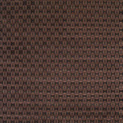 Luisa Tabaco by Gaston Y Daniela Designer Fabric