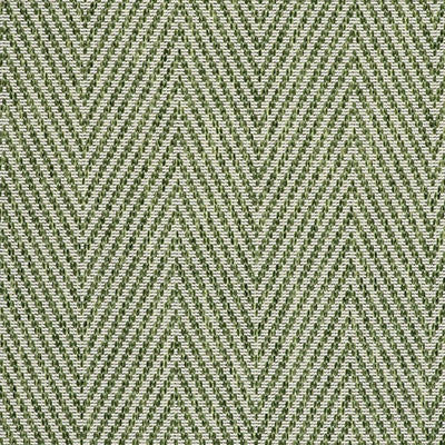Gran Espiga Verde by Gaston Y Daniela Designer Fabric