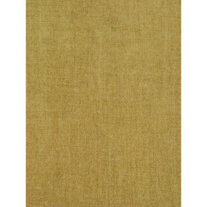 Genova Lima by Gaston Y Daniela Designer Fabric