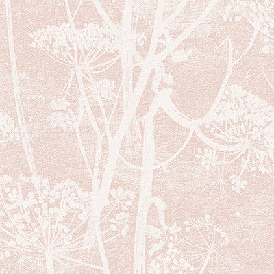 Cow Parsley Plaster Pink by Cole & Son Designer Wallcovering