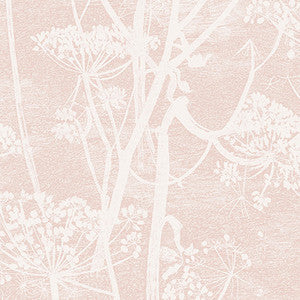 Cow Parsley Plaster Pink by Cole & Son Designer Wallcovering