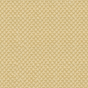 25807-414 by Kravet Design Designer Fabric