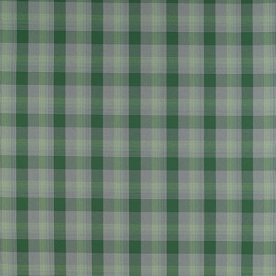 Preciados Verde by Gaston Y Daniela Designer Fabric