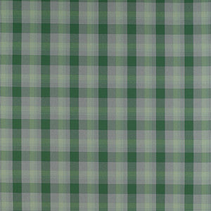 Preciados Verde by Gaston Y Daniela Designer Fabric