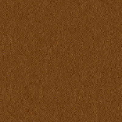 Kravet Smart Ani-404 by Kravet Smart Designer Fabric