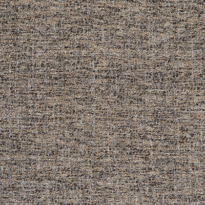 Telar Antracita by Gaston Y Daniela Designer Fabric