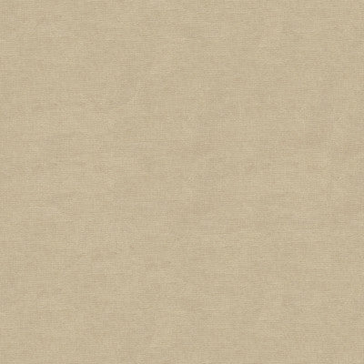 Kravet Design 33125-311 by Kravet Design Designer Fabric