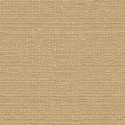 30004-1616 by Kravet Design Designer Fabric