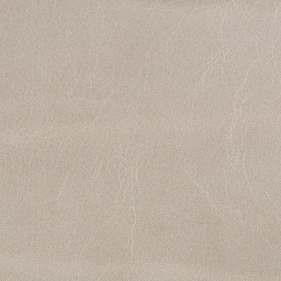 L-Baden-Cement by Kravet Couture Designer Fabric