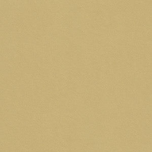 Kravet Smart 32565-16 by Kravet Smart Designer Fabric