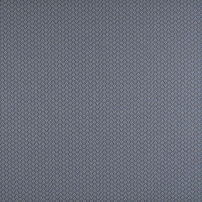 Chueca Azul by Gaston Y Daniela Designer Fabric