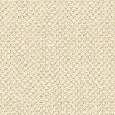 Kravet Design 25807-1116 by Kravet Design Designer Fabric