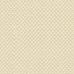 Kravet Design 25807-1116 by Kravet Design Designer Fabric