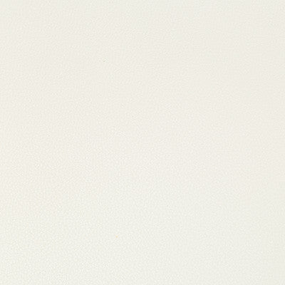 Syrus Gesso by Kravet Contract Designer Fabric