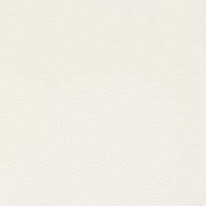 Syrus Gesso by Kravet Contract Designer Fabric