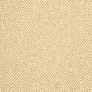 Kravet Design 28768-1116 by Kravet Design Designer Fabric