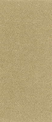 Kravet Design Moccasin-161 by Kravet Design Designer Fabric