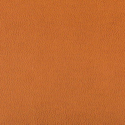 Lenox Marmalade by Kravet Contract Designer Fabric