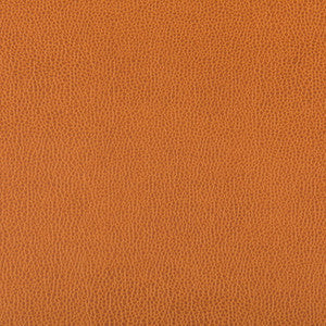 Lenox Marmalade by Kravet Contract Designer Fabric