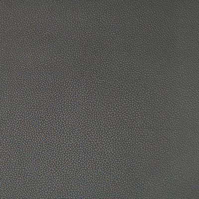 Syrus Gunmetal by Kravet Contract Designer Fabric