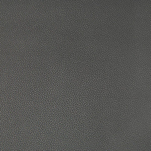 Syrus Gunmetal by Kravet Contract Designer Fabric