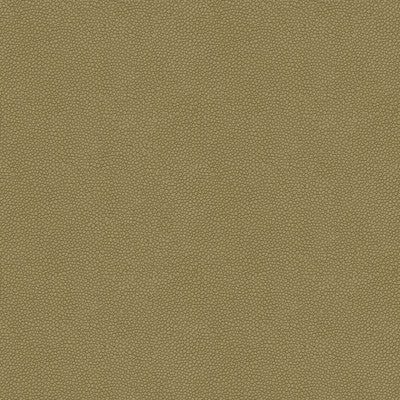 Kravet Design Pietra-11 by Kravet Design Designer Fabric