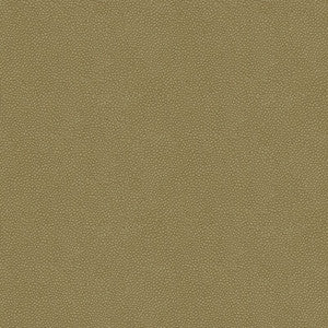 Kravet Design Pietra-11 by Kravet Design Designer Fabric