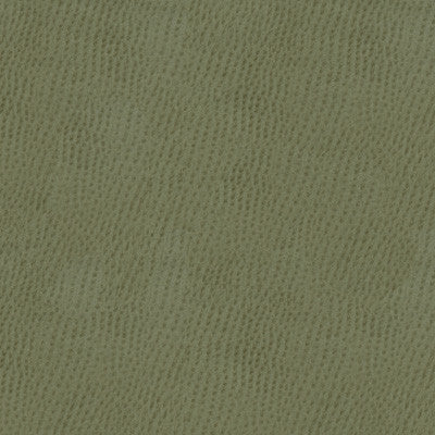 Kravet Smart Ossy-11 by Kravet Smart Designer Fabric