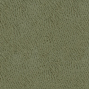 Kravet Smart Ossy-11 by Kravet Smart Designer Fabric
