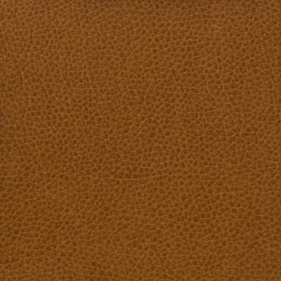Kravet Basics Matter-616 by Kravet Basics Designer Fabric