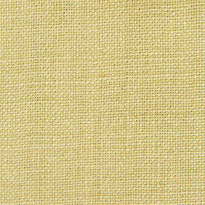 Nicaragua Verde Claro by Gaston Y Daniela Designer Fabric