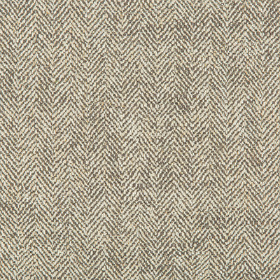 Kravet Smart 35228-1121 by Kravet Smart Designer Fabric