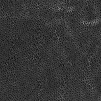 Kravet Design Delaney-8 by Kravet Design Designer Fabric