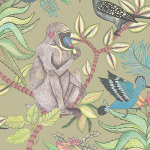 Savuti Khaki Multi by Cole & Son Designer Wallcovering