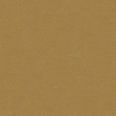 Kravet Design Grana-1616 by Kravet Design Designer Fabric