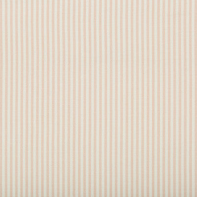 Cap Ferrat Stripe Pink by Lee Jofa Designer Fabric