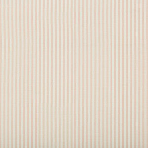 Cap Ferrat Stripe Pink by Lee Jofa Designer Fabric