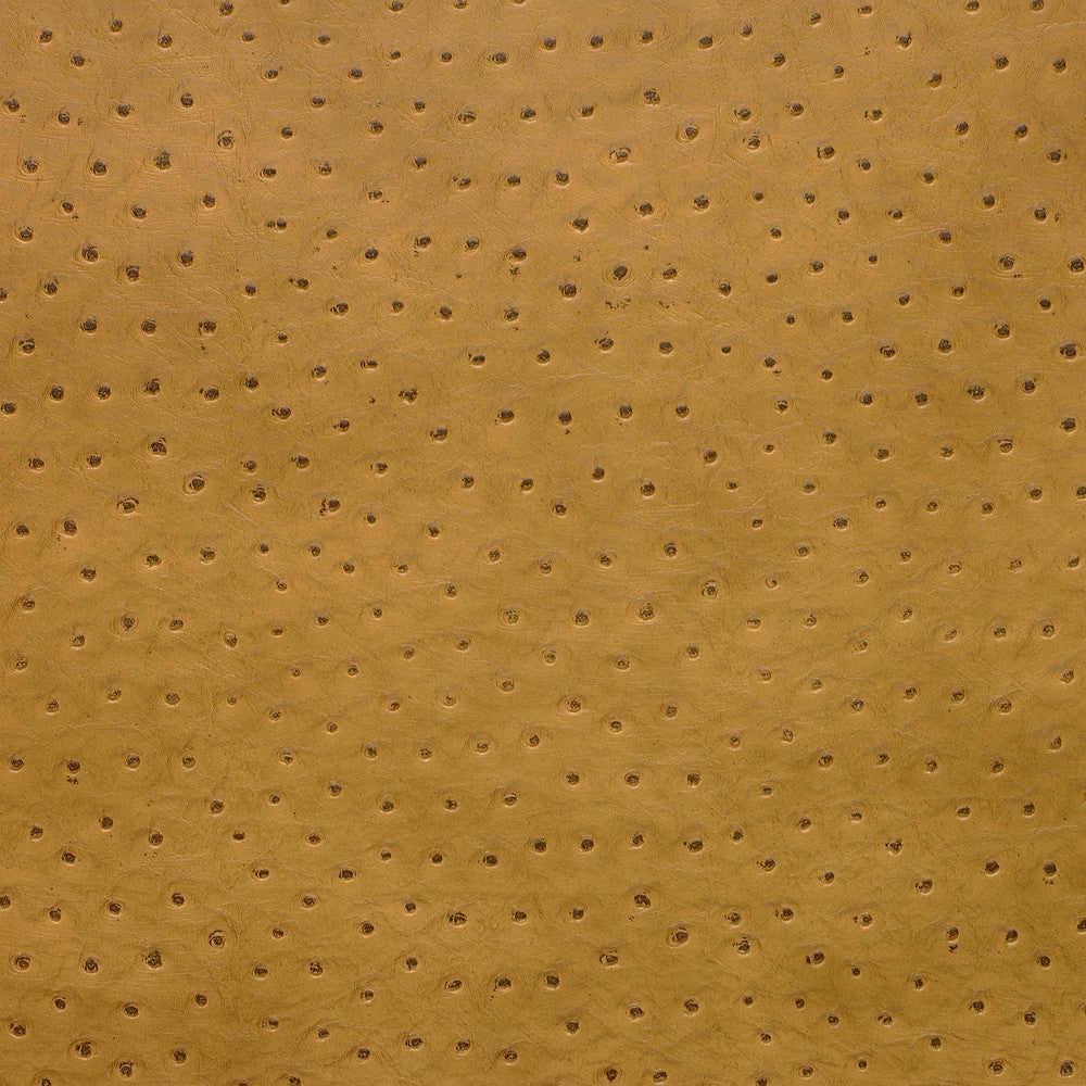 Kravet Design Senna-4 by Kravet Design Designer Fabric