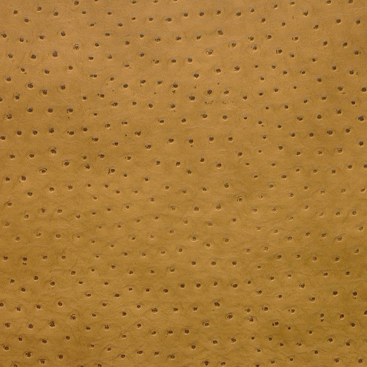 Kravet Design Senna-4 by Kravet Design Designer Fabric