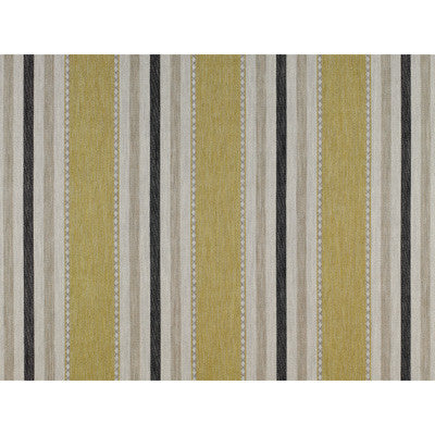 Albuquerque Verde Lima by Gaston Y Daniela Designer Fabric