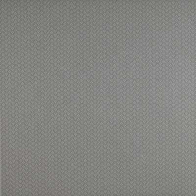 Chueca Gris by Gaston Y Daniela Designer Fabric