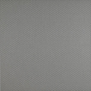 Chueca Gris by Gaston Y Daniela Designer Fabric