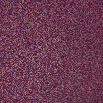 Syrus Mulberry by Kravet Contract Designer Fabric