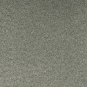 Venecia Gris by Gaston Y Daniela Designer Fabric