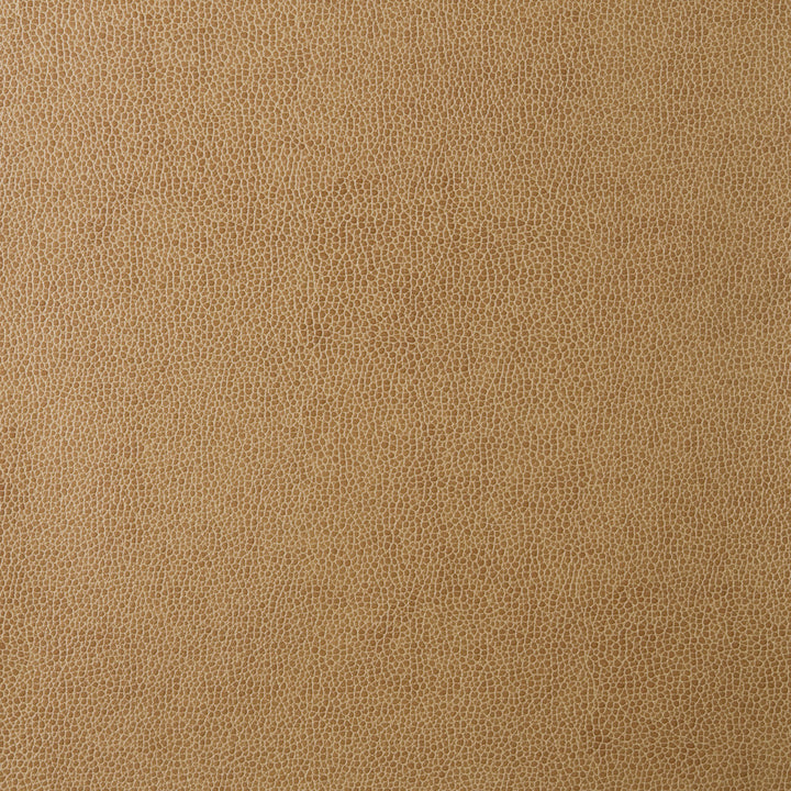 Kravet Design Sparta-16 by Kravet Design Designer Fabric