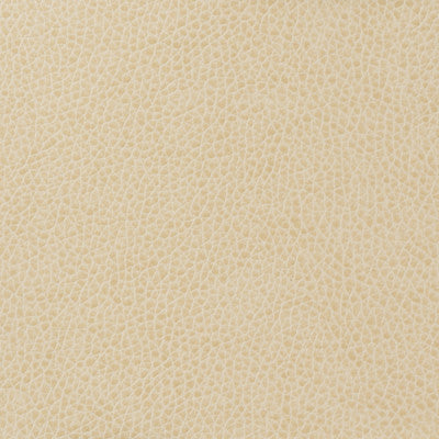 Kravet Basics Matter-111 by Kravet Basics Designer Fabric